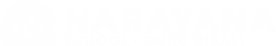 Narayana Schools - durg-risali logo