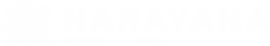 Narayana Schools - gurgaon-manesar logo