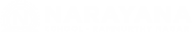 Narayana Schools - rammurthy-nagar logo