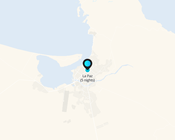Baja's Whale Wonders & La Paz Escapades 6D/5N - 1