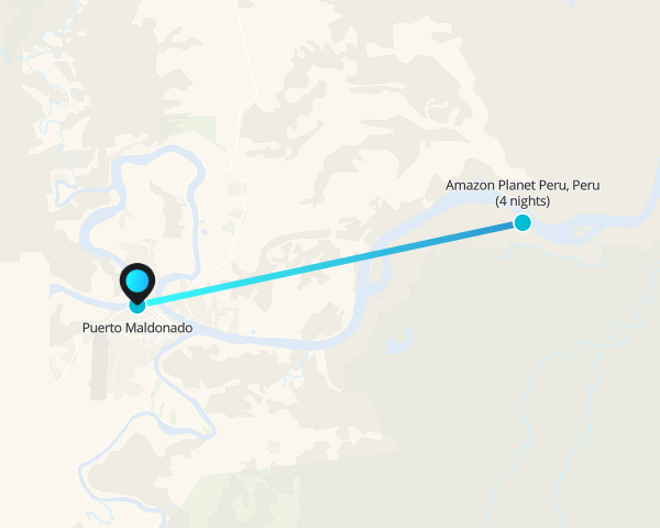 Retiro de sanación en la naturaleza amazónica de Puerto Maldonado (5 días/4 noches) - 1
