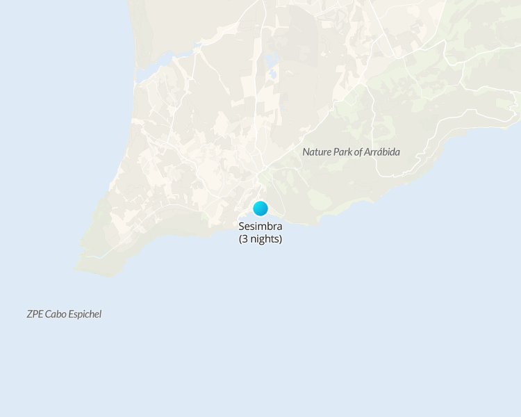 Eco-dive in Sesimbra - 1