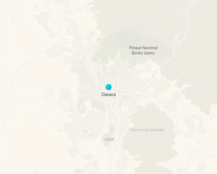 Excursión de un día a Hierve El Agua, Mitla y Tule 1 días 1 días - 1