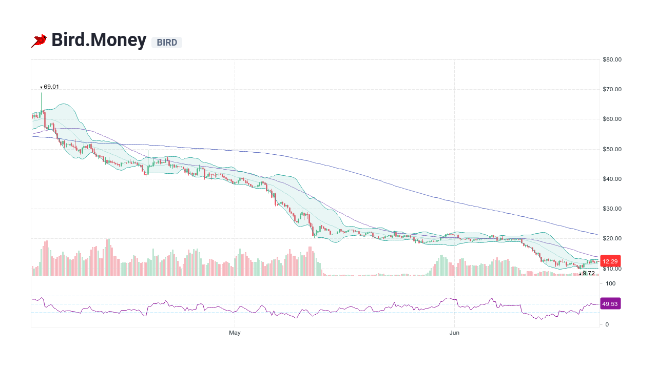 bird money crypto price