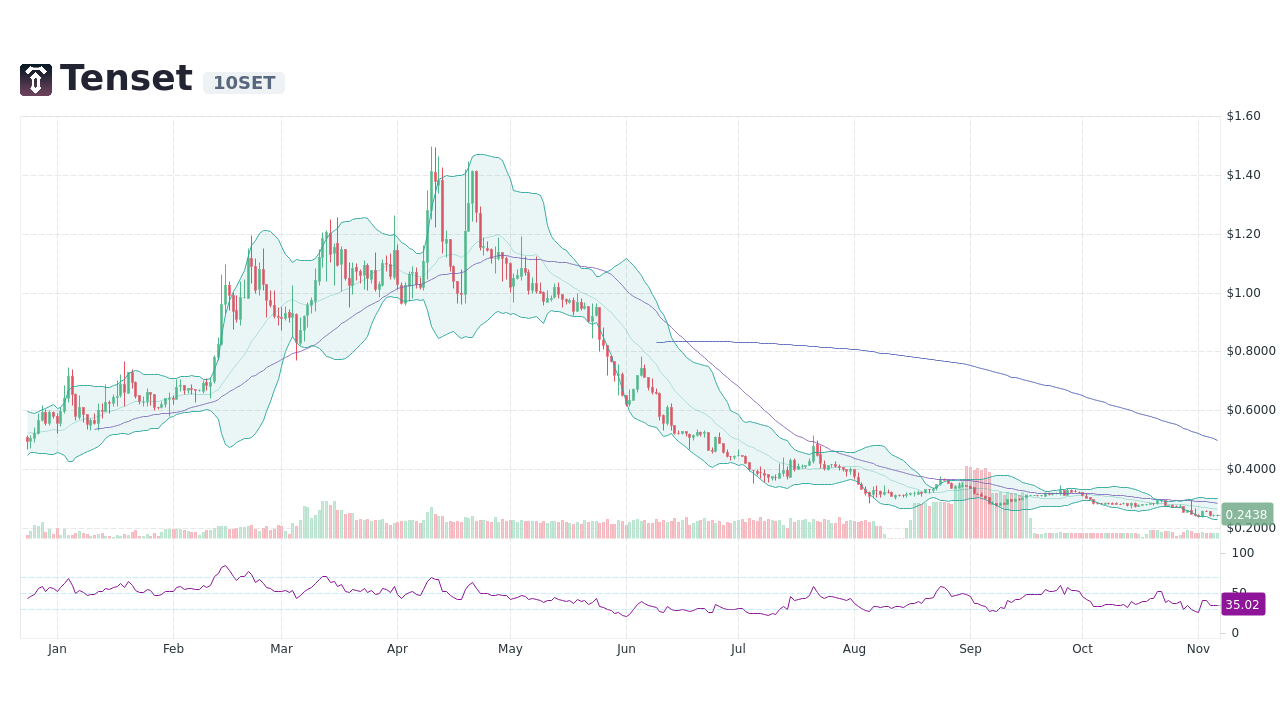 tenset crypto price