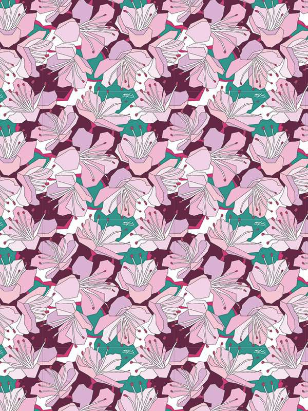 6113 kitamiugo nespolo