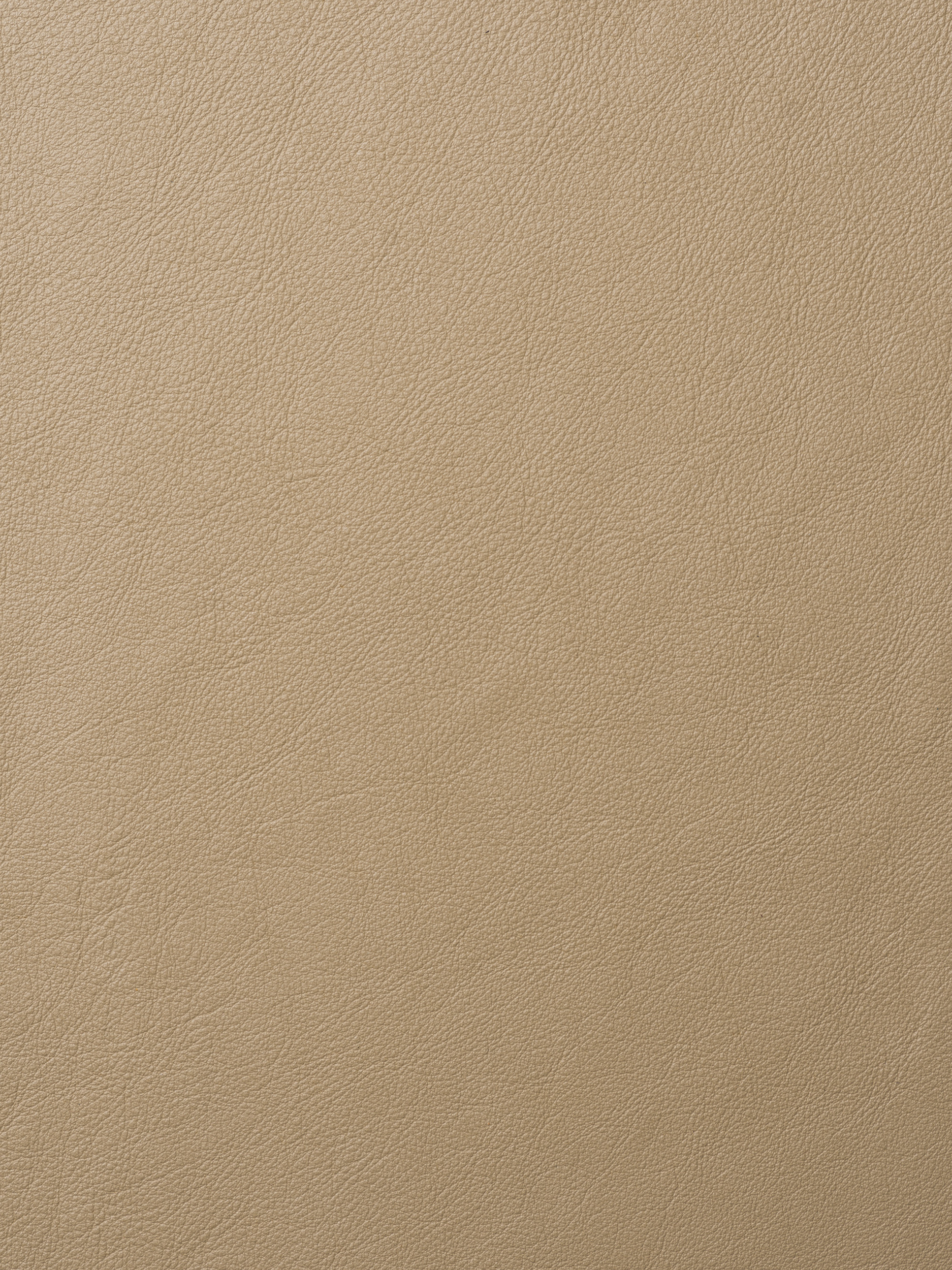 ELMOLEATHER_ELMOSOFT_22034