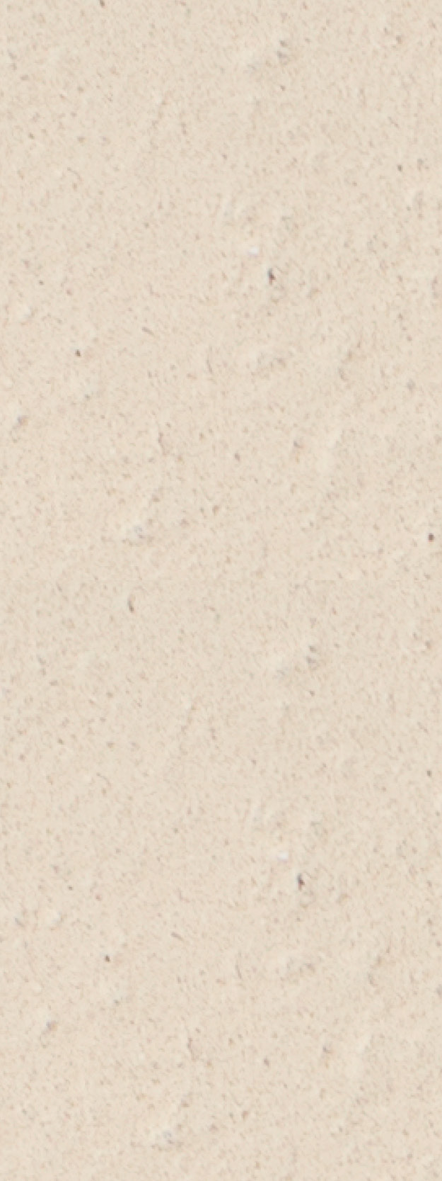 Alphaton_Elfenbein_ivory_gross