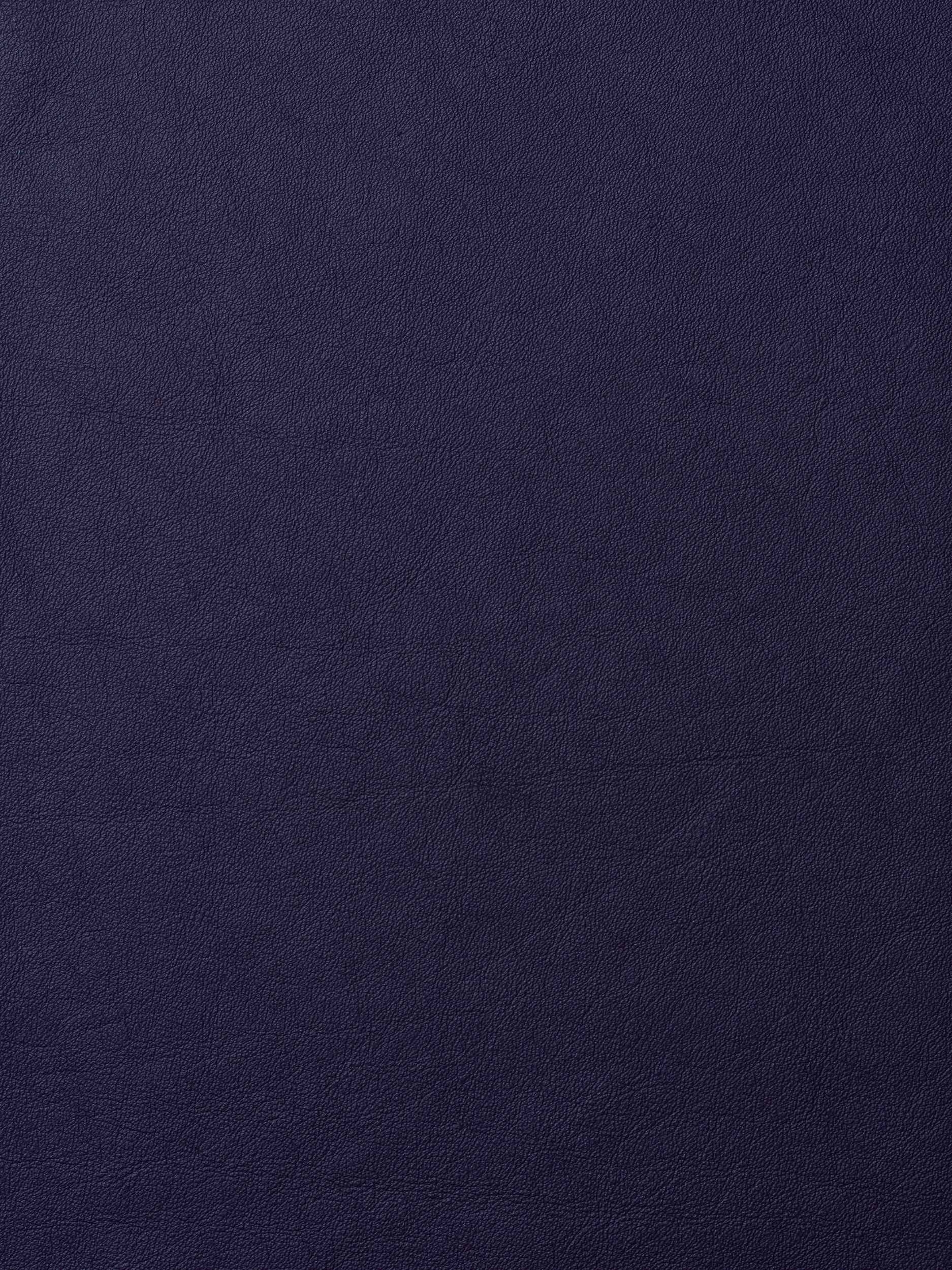 ELMOLEATHER_ELMOSOFT_07071