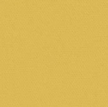 Clipso™ So Acoustic 495 AC - 4005 Yuzu