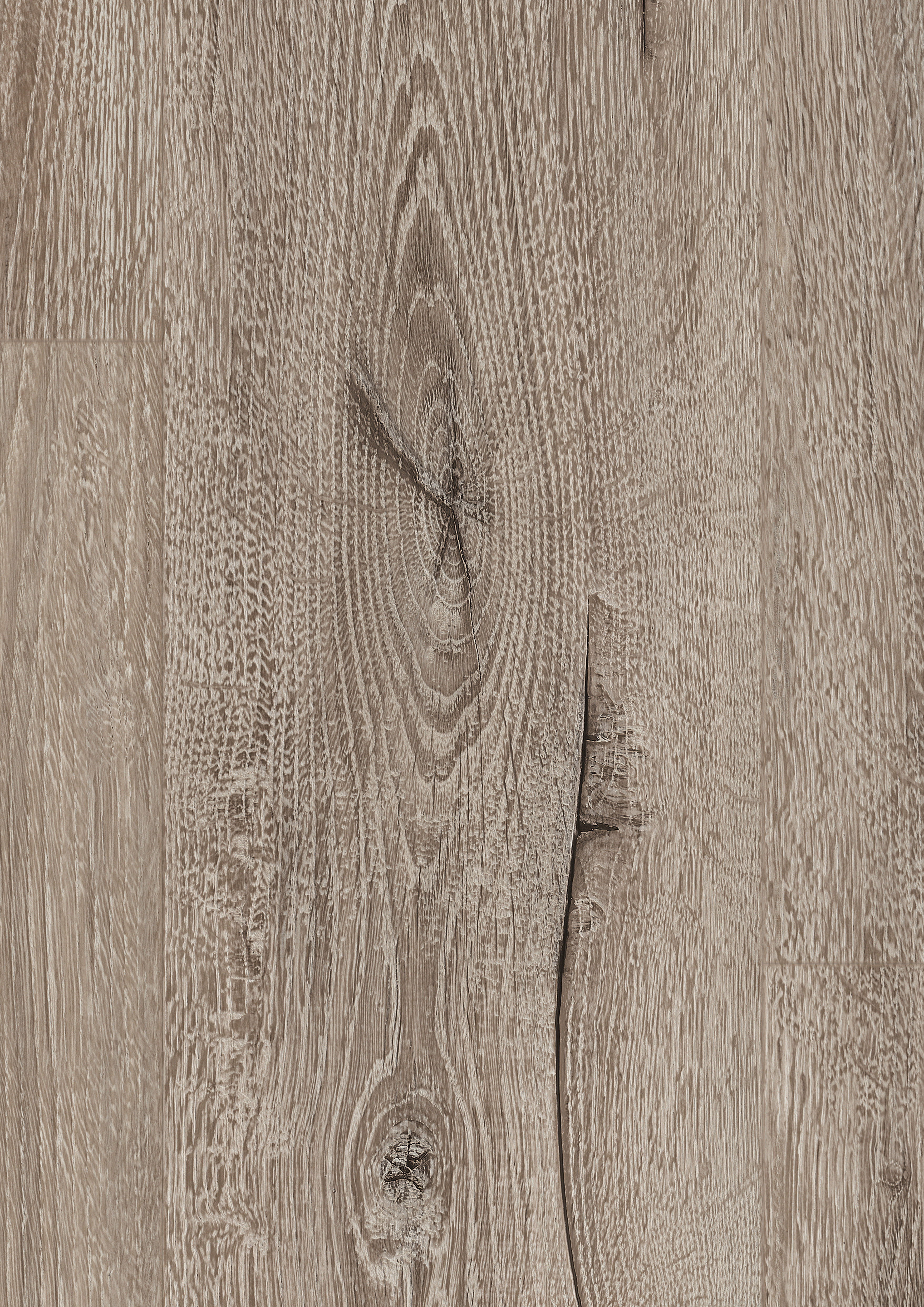 EDF204_STD8_classic_wv4_detail_10DE_flo