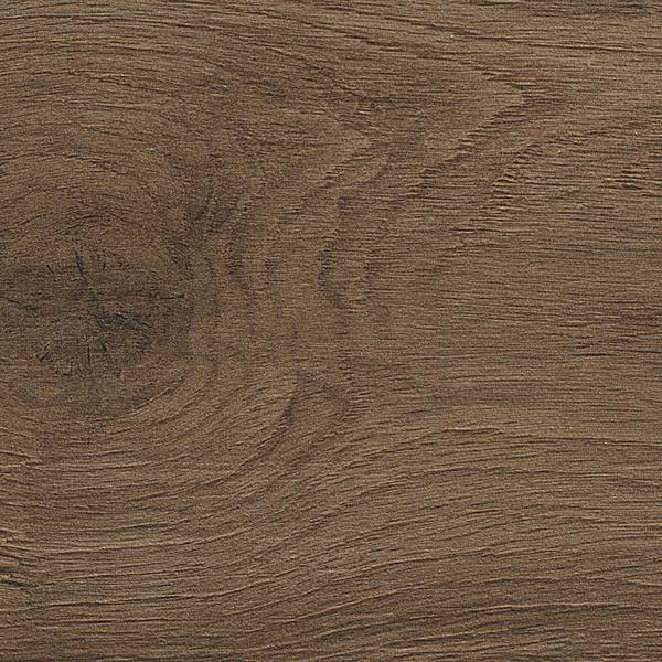 fap_roots_2021_tobacco_R9_20X120_fPV1_02_hr-thumbnail-600x600-70