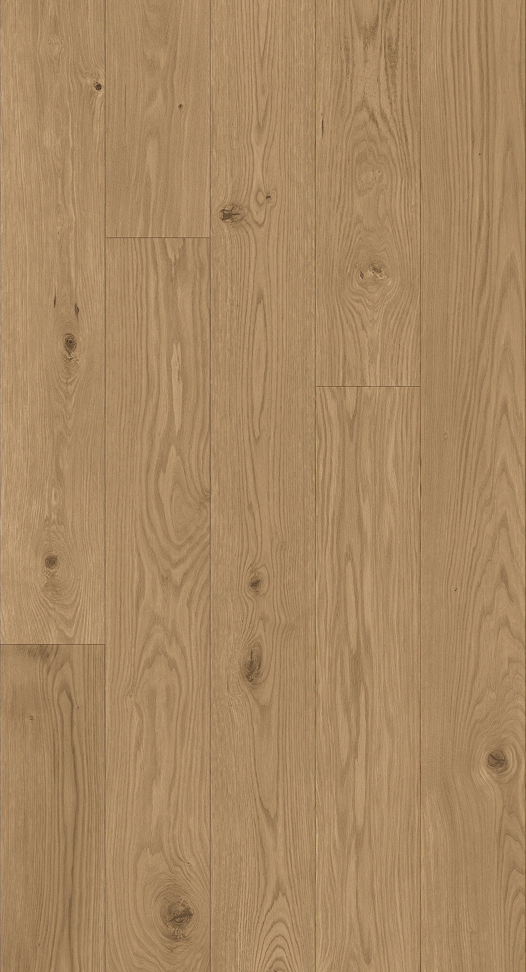 cabbani-cda-rembrandt-hr_1742814363