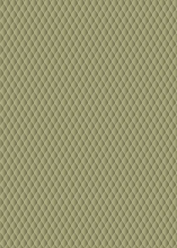 6329 shark agavematteo ragni