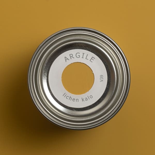 argile_peinture-tmvv39-teinte-lichen_kalo-600_600