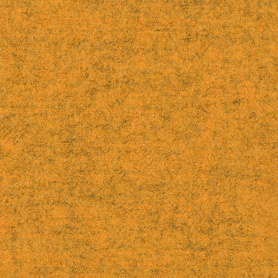 focus_melange_screen_62417