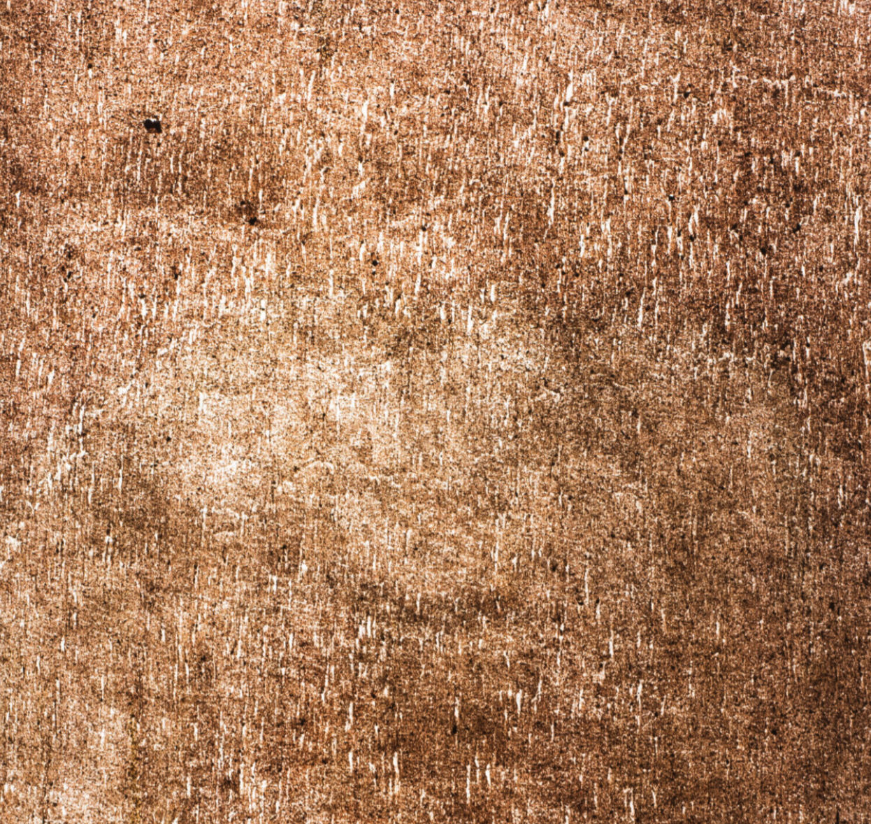 MICA-ESSAOUIRA TRANS.