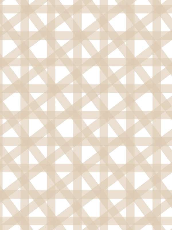 6425 pastel beige bold