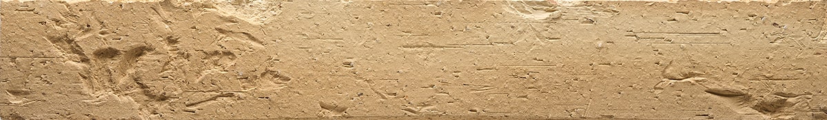 BRUT-DE-FOUR_623-Sahara-0