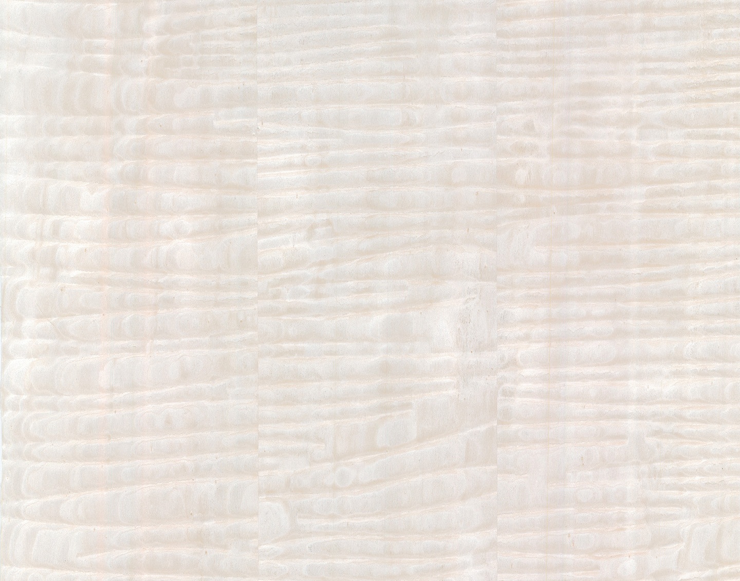 20240402-3077-10.55main