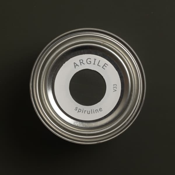 argile_peinture-tmvv33-teinte-spiruline-600_600