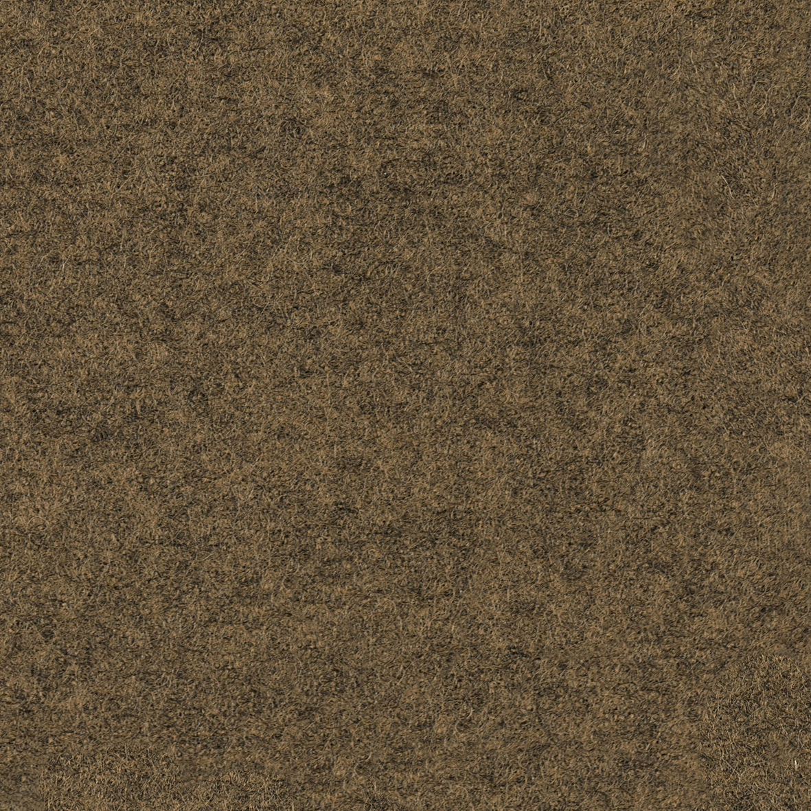 focus_melange_screen_61437