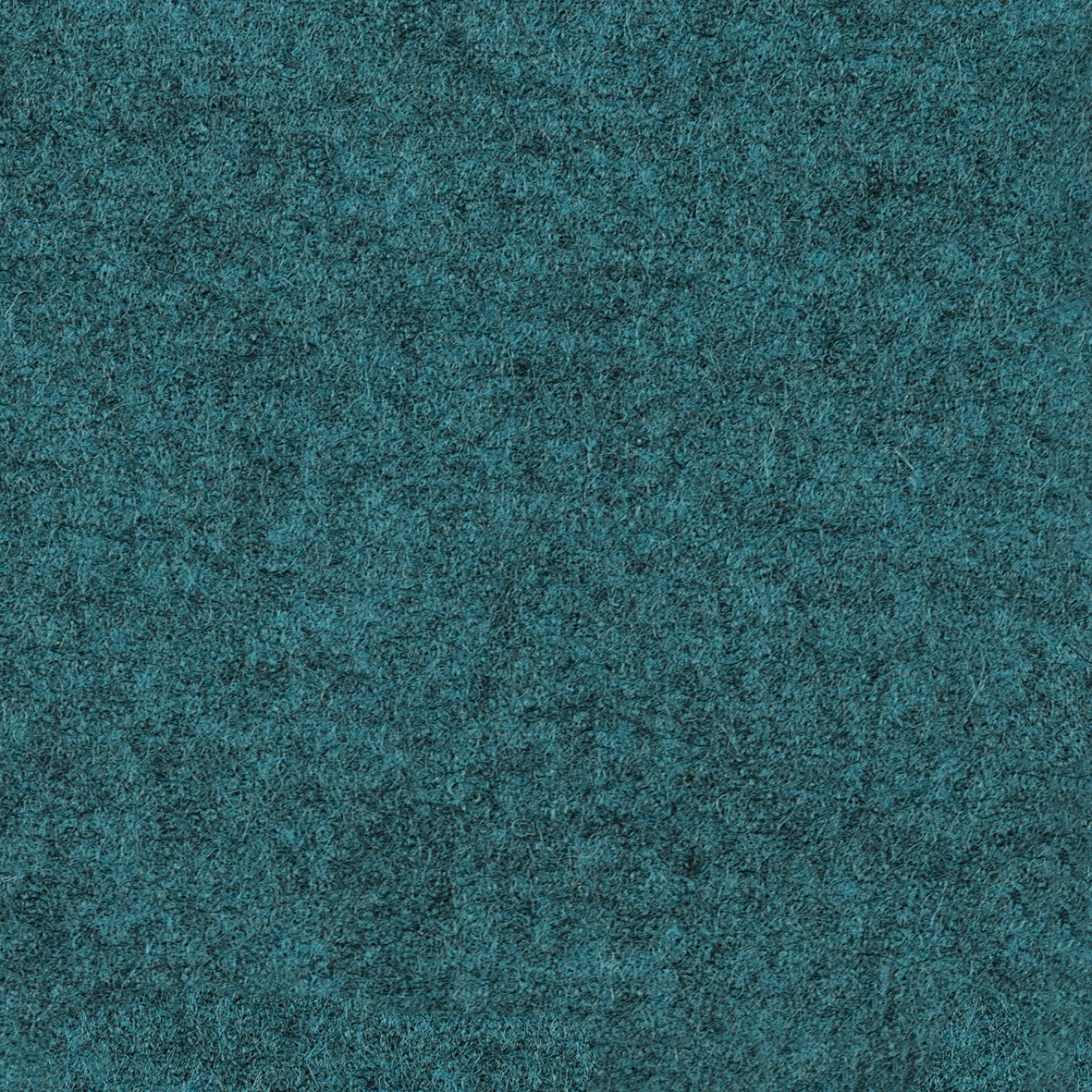 focus_melange_screen_66420