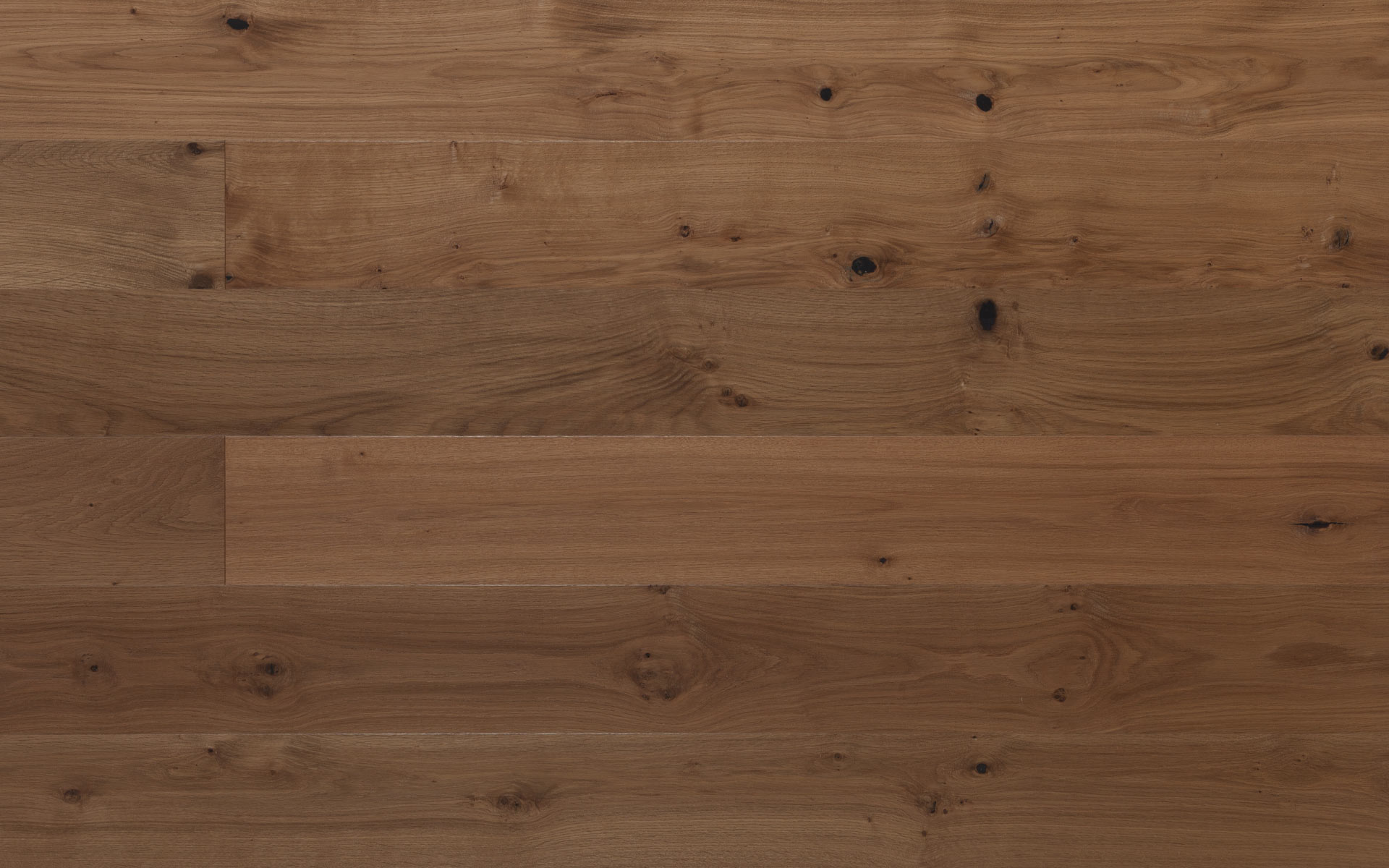 heritage_traccia_fiesole_1455_1920x1200