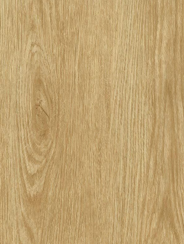 NF34 - Tan Oak