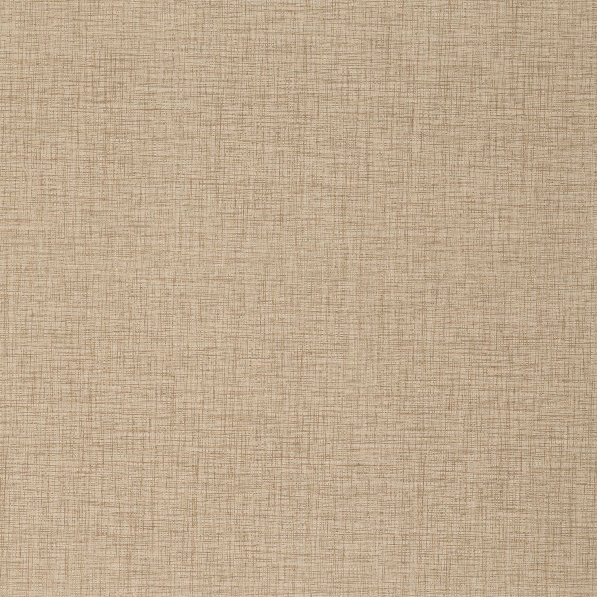 JPG 72 dpi-Taralay Impression 1063 Finesse Brown