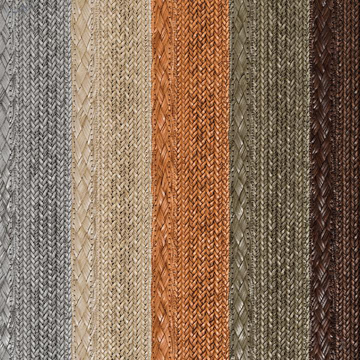 Circus_Custom_5_Colors_2048x