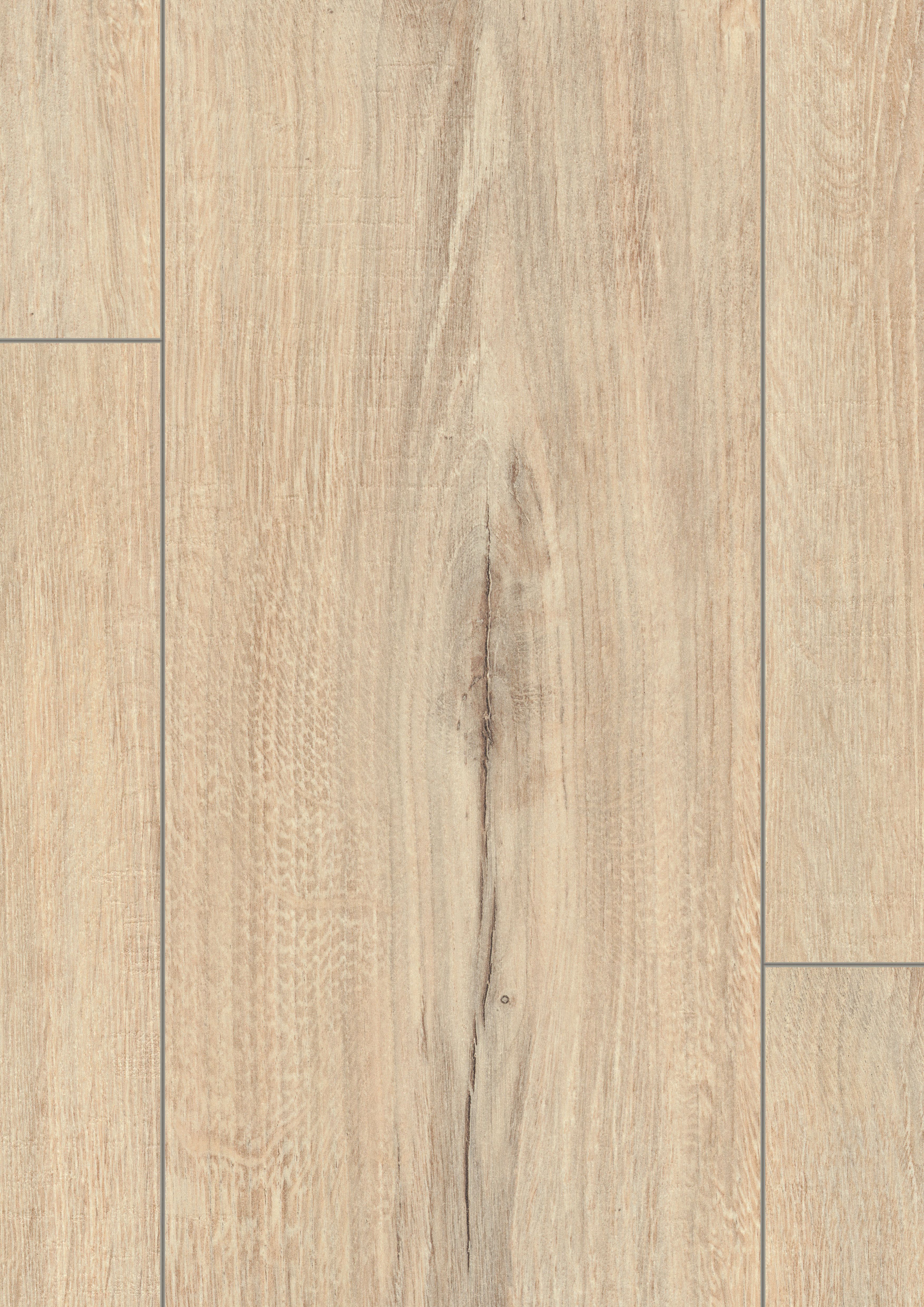 EL2416_STF7_classic_wv4_detail_10DE_flo