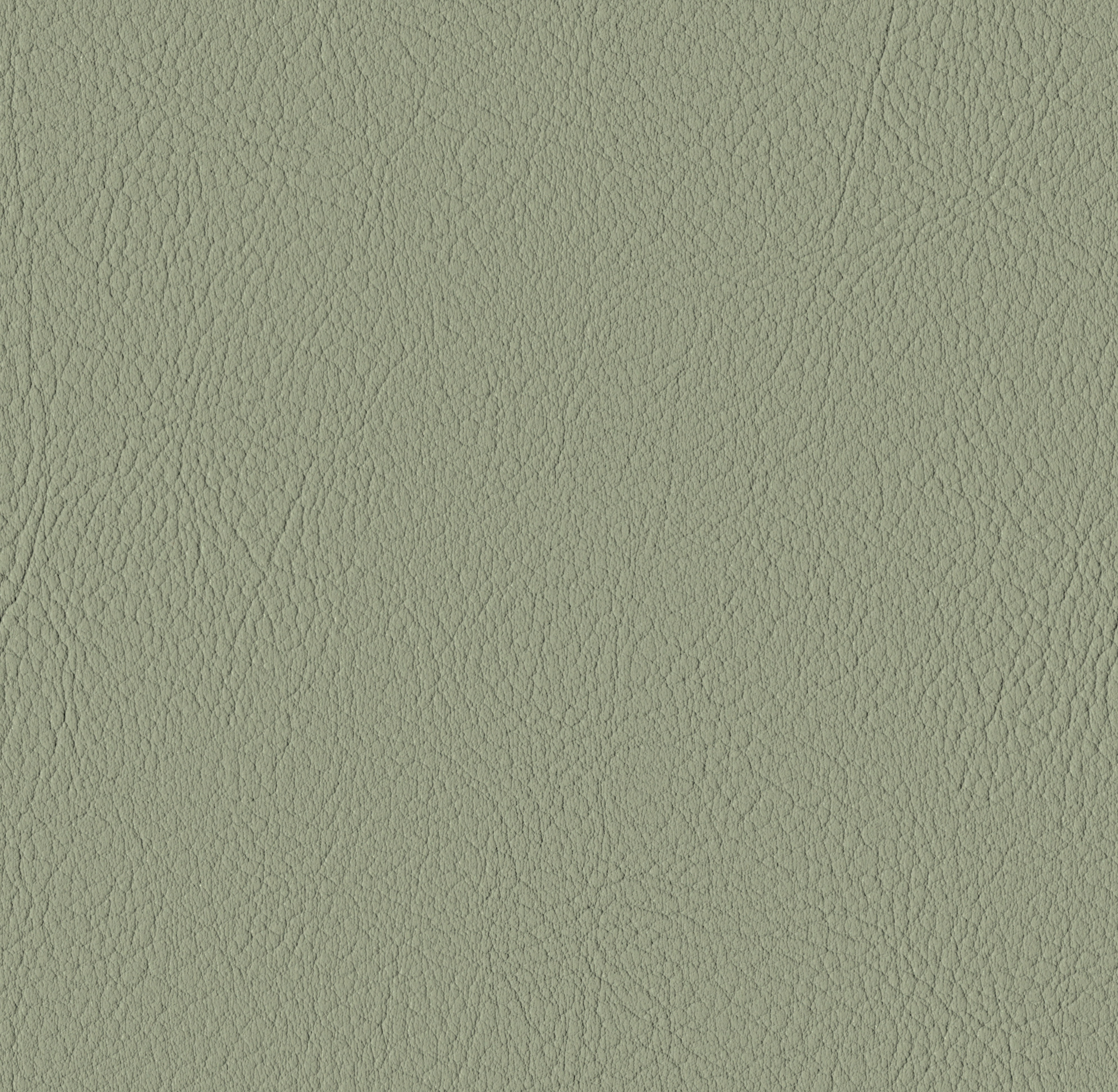 Tileable image - Cactus