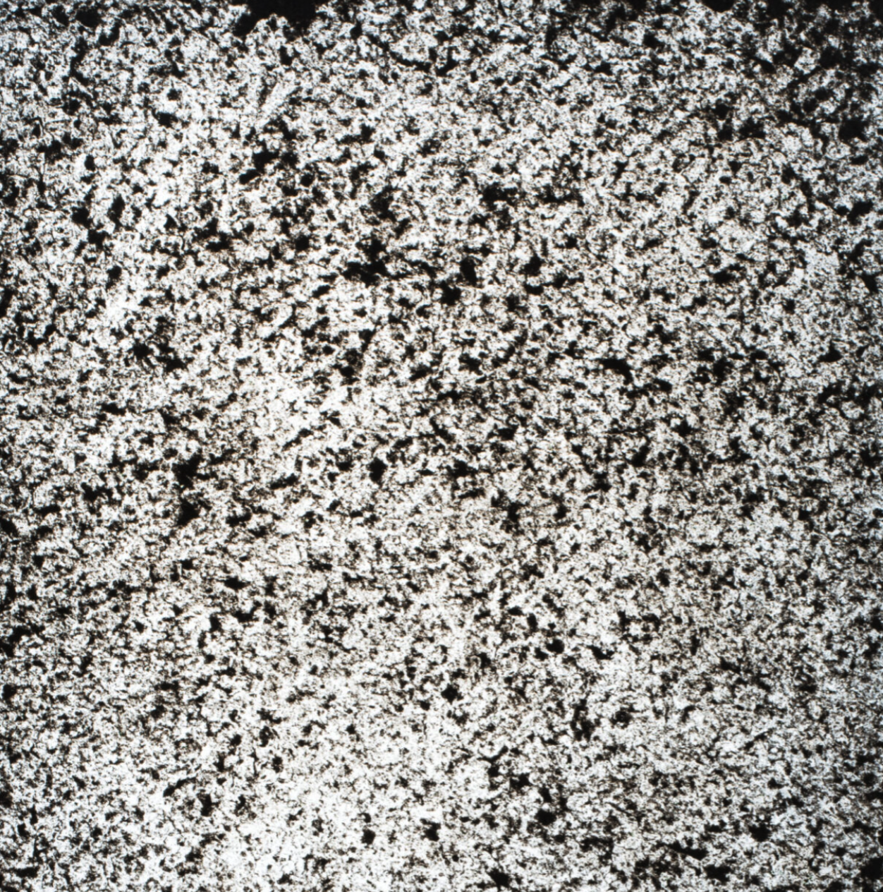 MICA-CANBERRA TRANS.