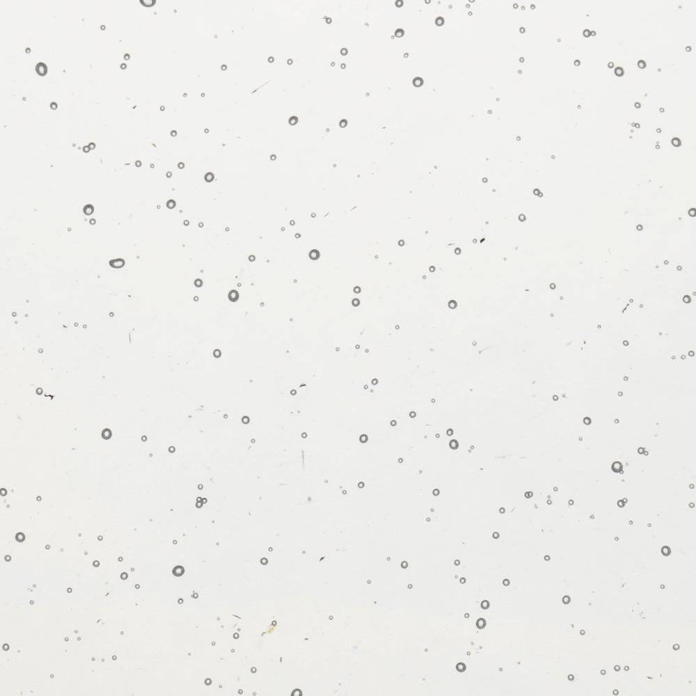 PS1305-Translucent-Clear