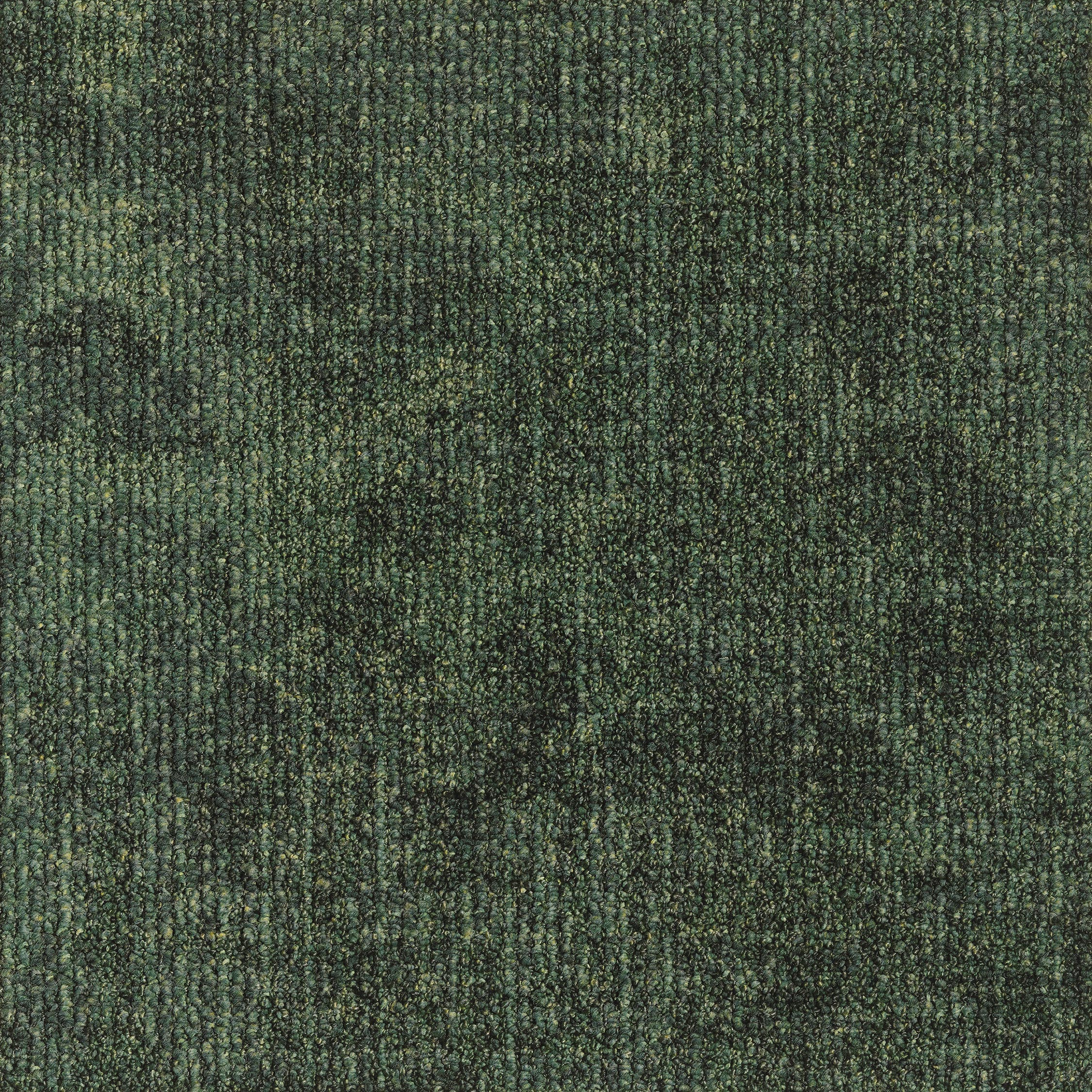 0865055 - Leaf Green 5500