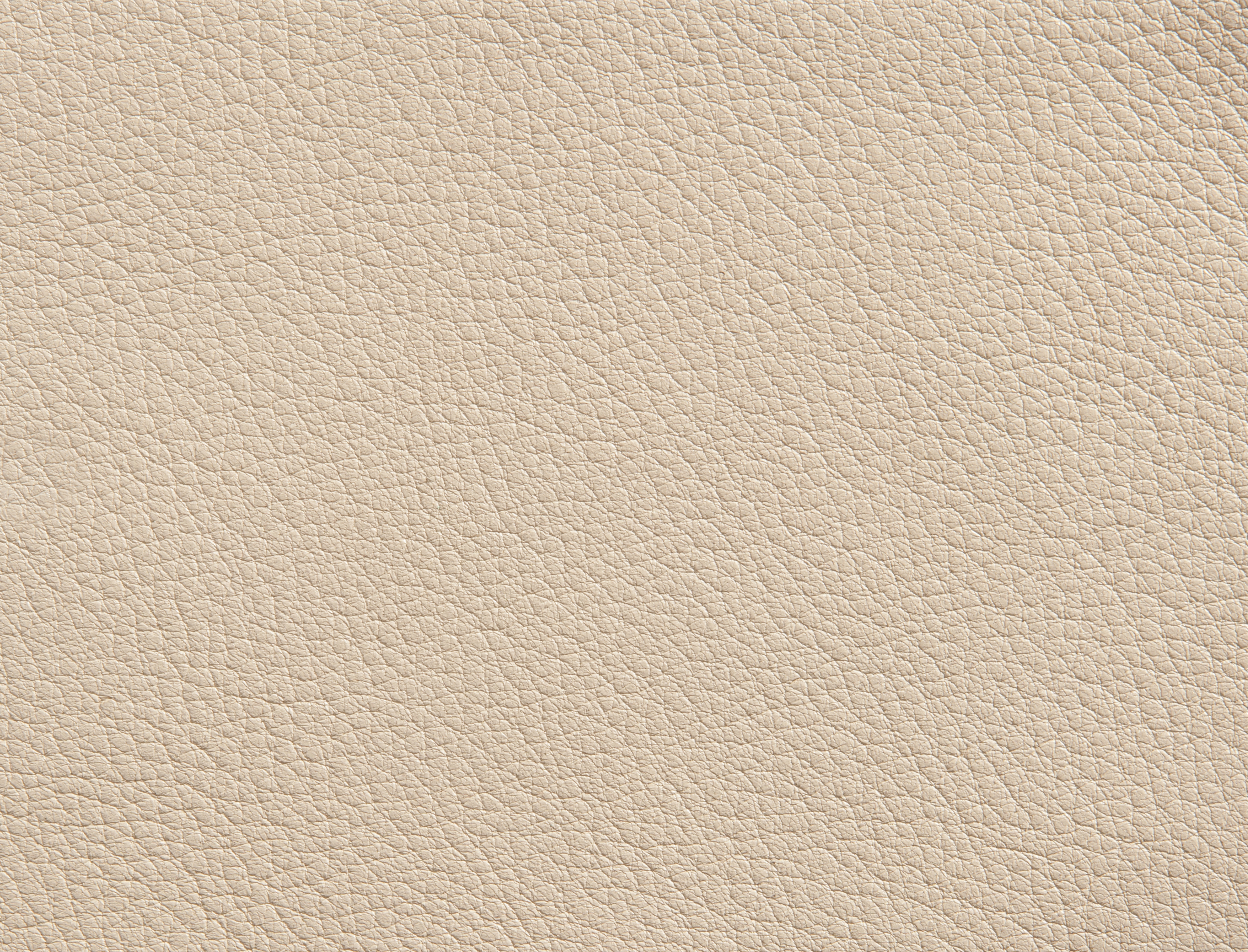 ElmorusticalVIII_22679