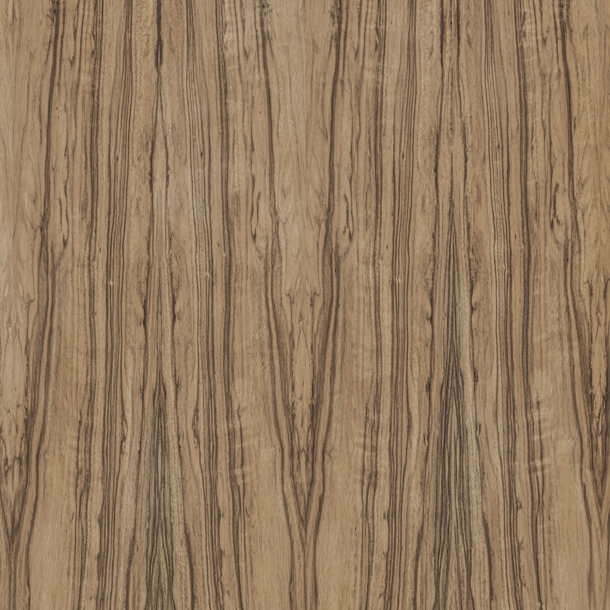 Zintra-Swatches-Australian-Walnut