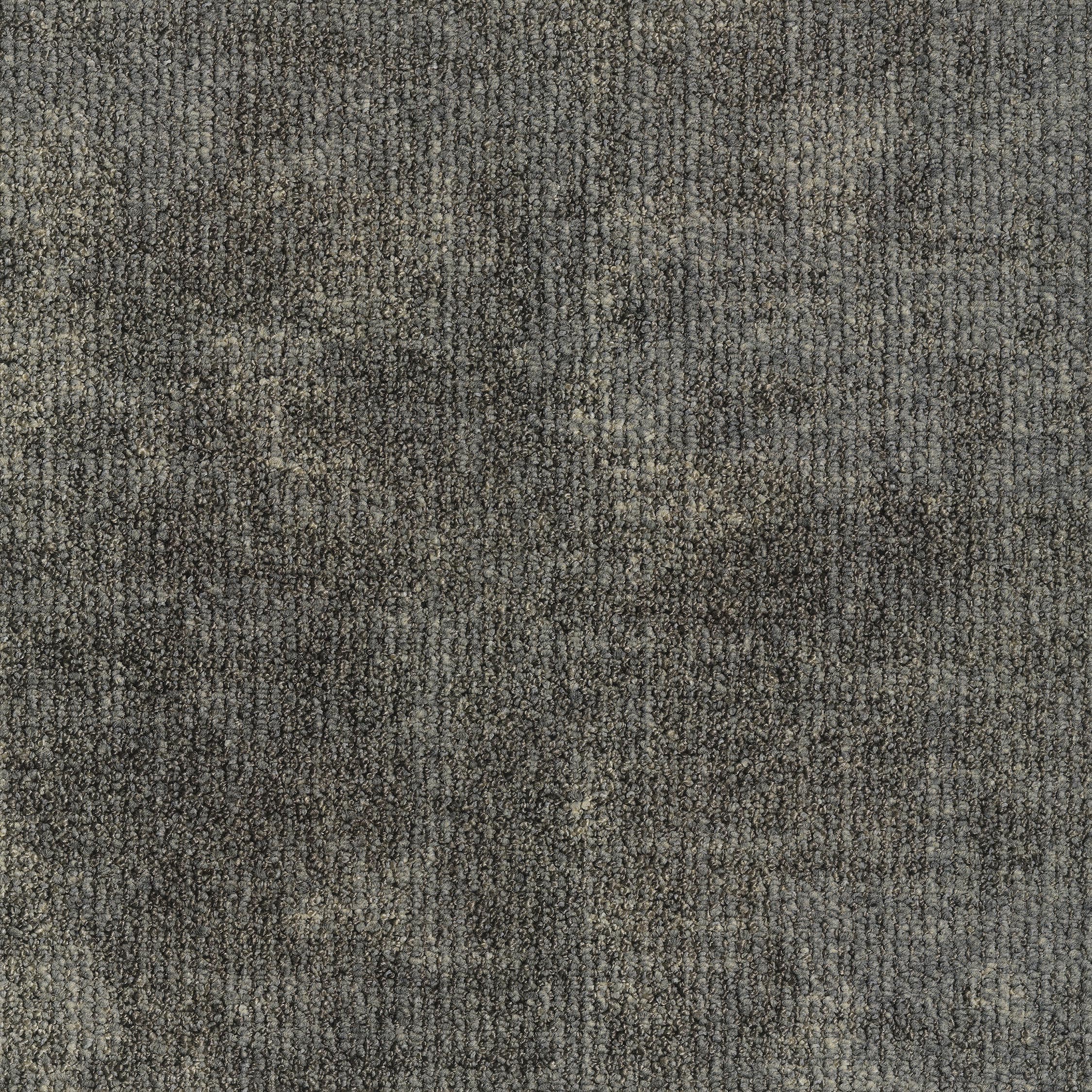 0865041 - leaf Olive Stone 5595