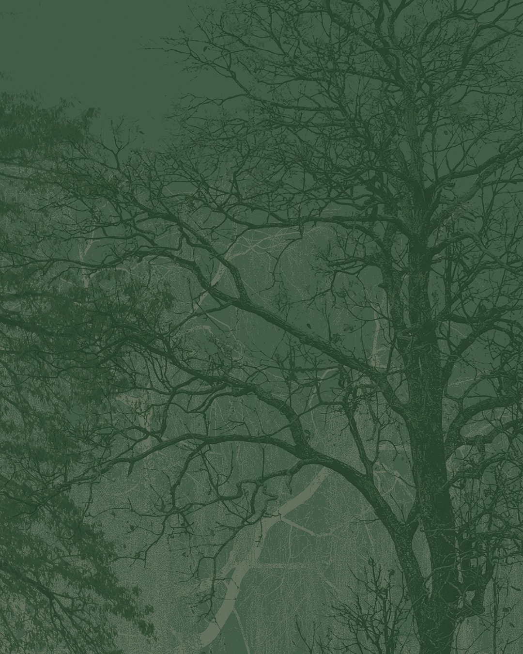 Papier-peint-panoramique-arbre-SILVA-SV3708-LGD01-decor-mural-sur-mesure-ZOOM