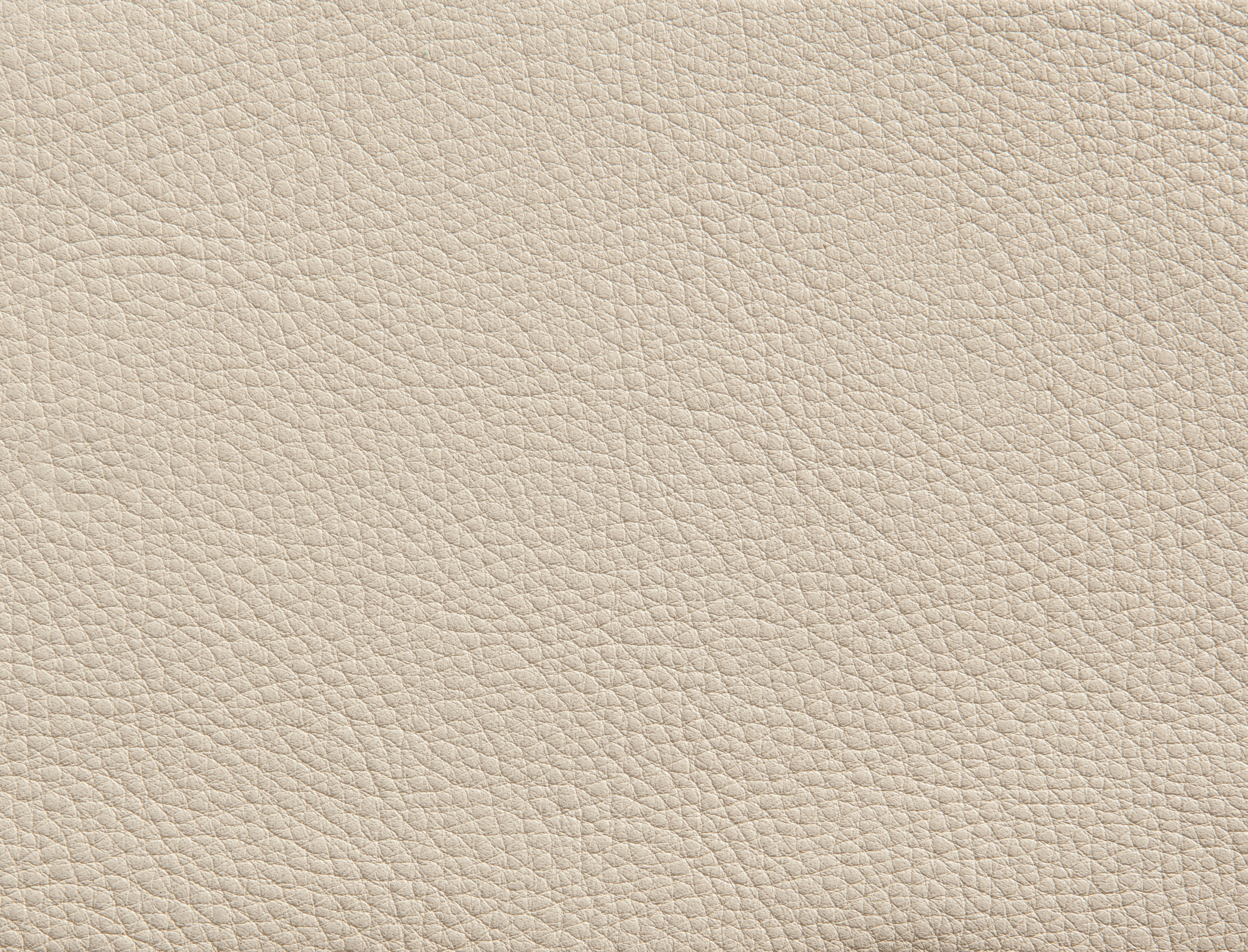 ElmorusticalVIII_02067