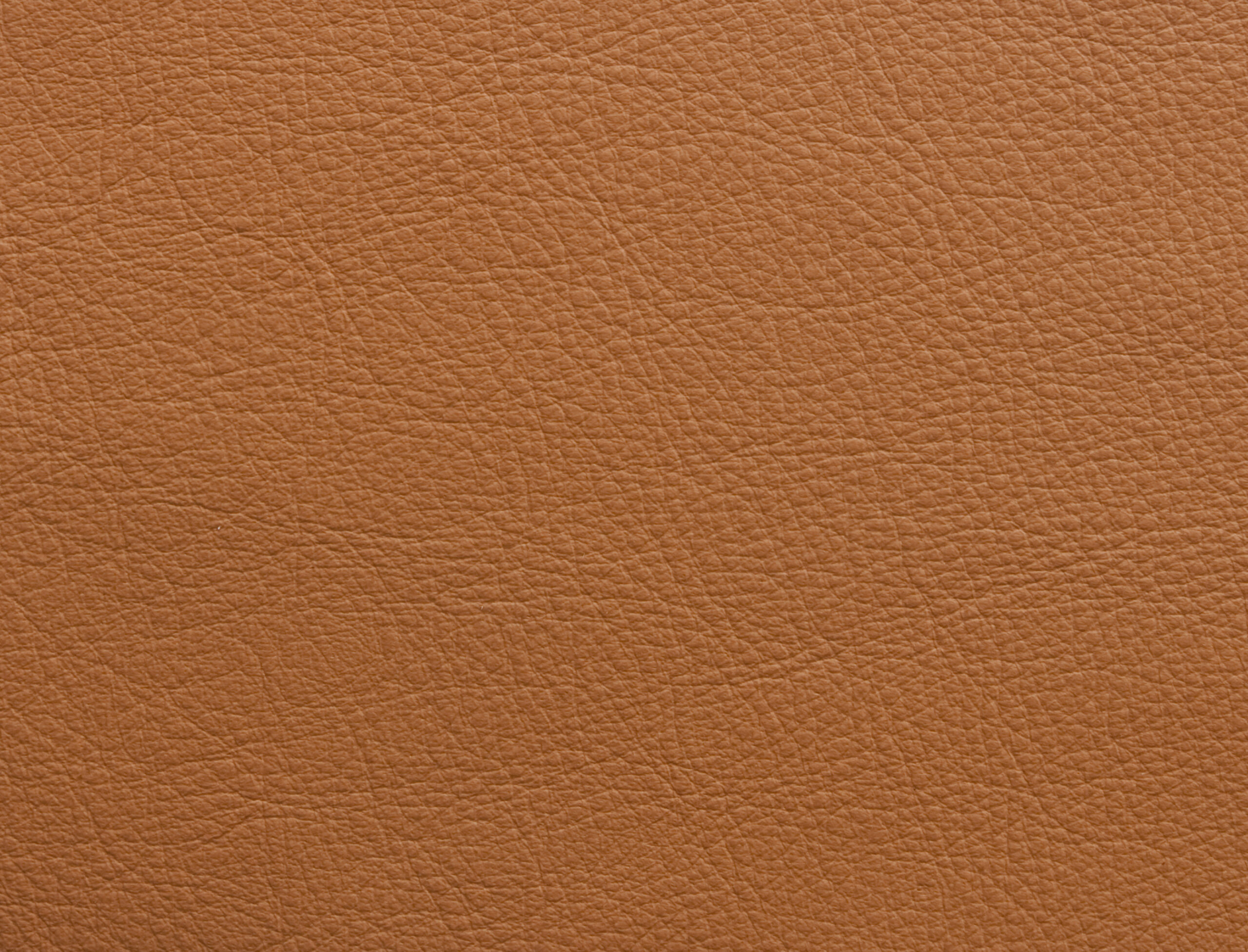 ElmosoftIX_54035-scaled