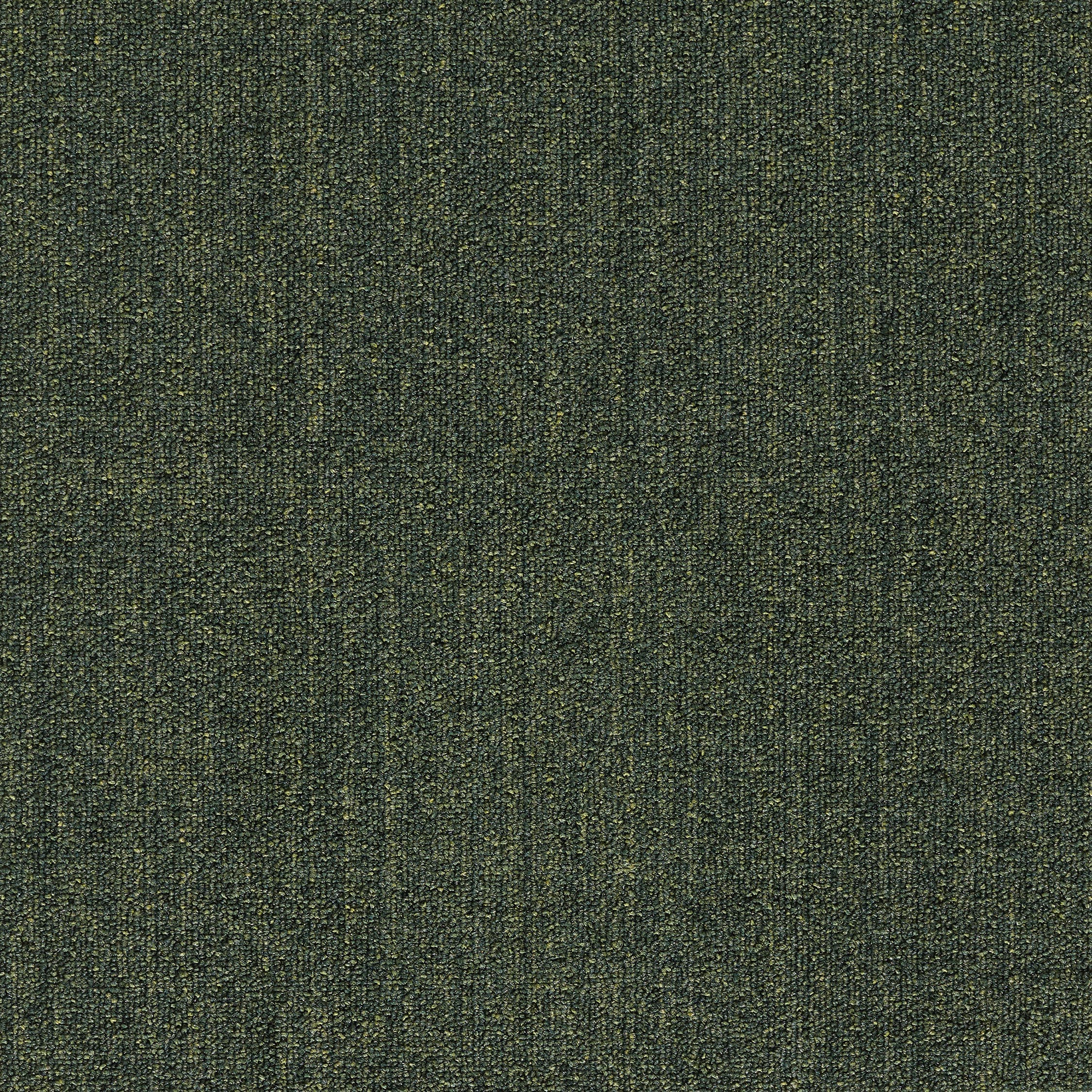 0800365 - Grass