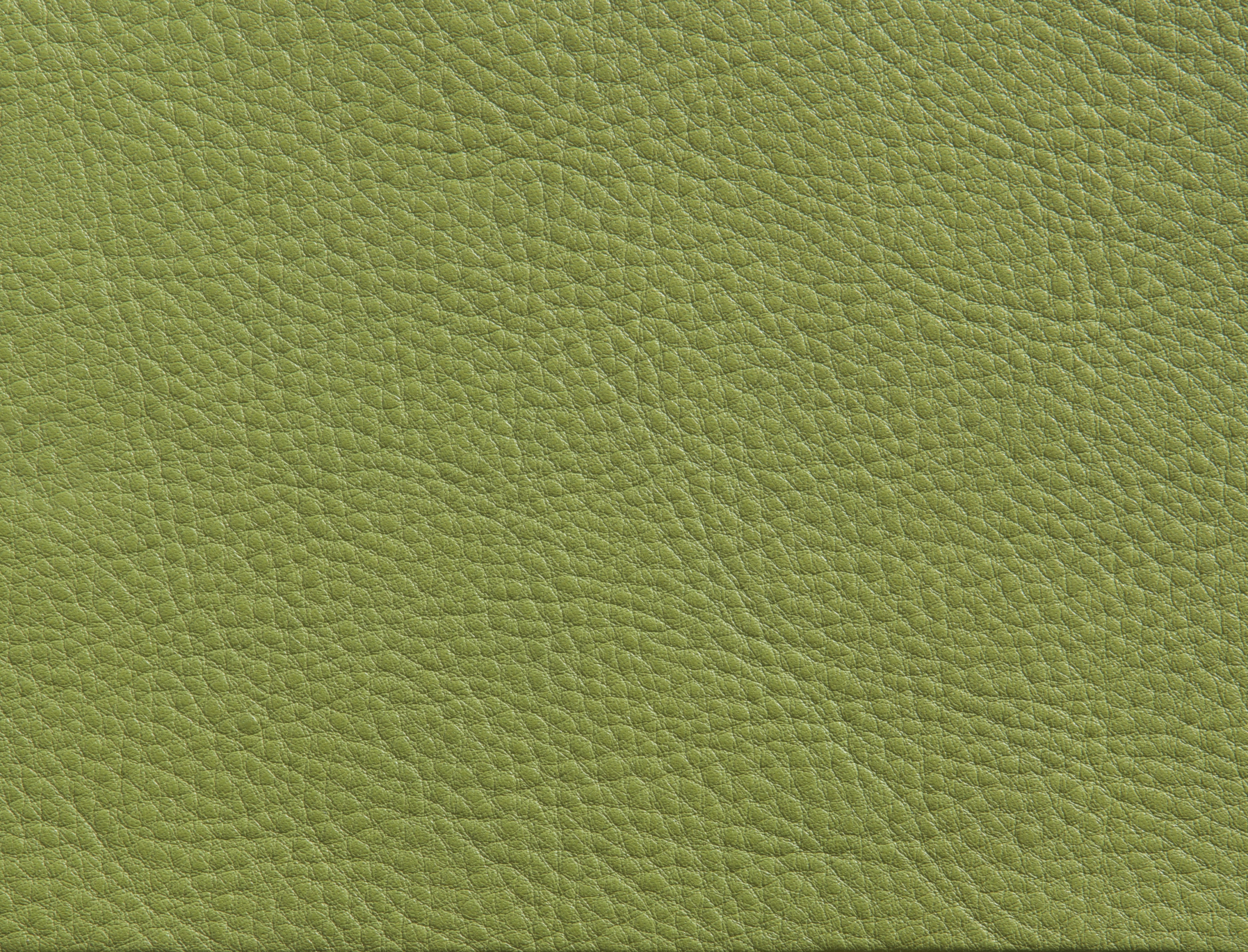 ElmorusticalVIII_08006