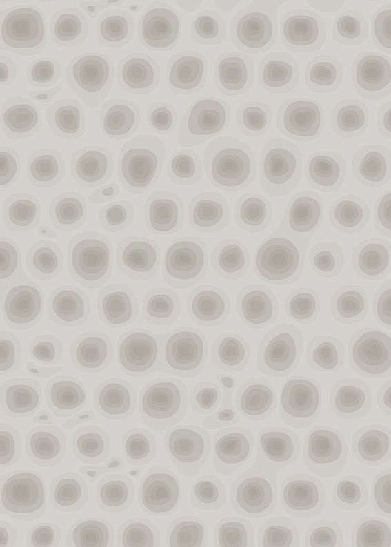 6319 octopus light greymatteo ragni