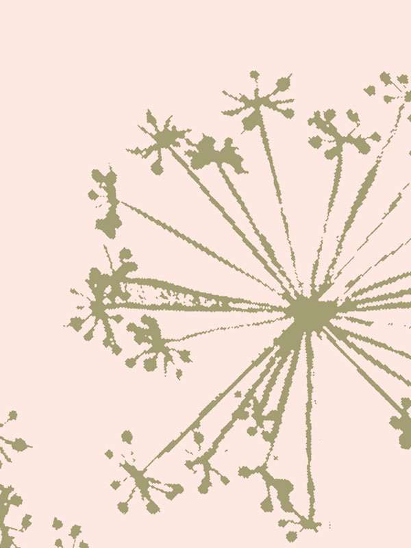 2821 neigepaola navone