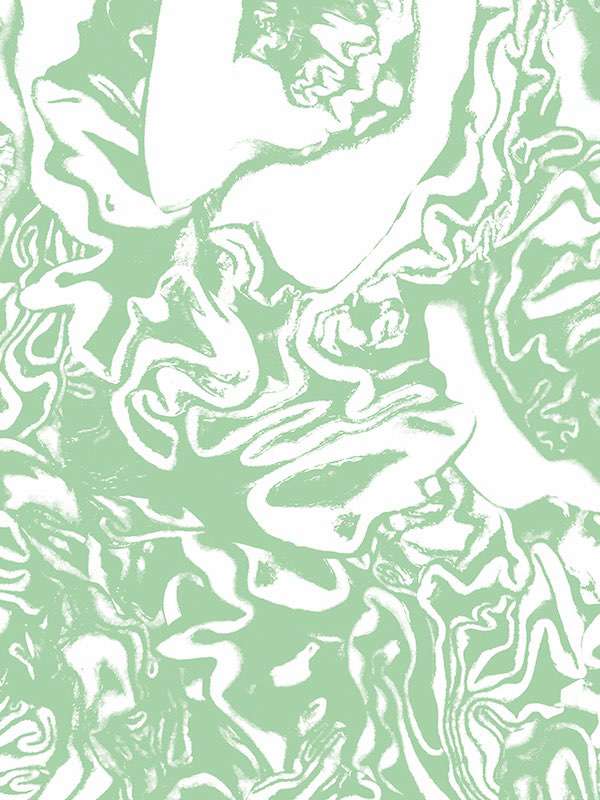 6265 cabbage 02 mintarthur arbesser