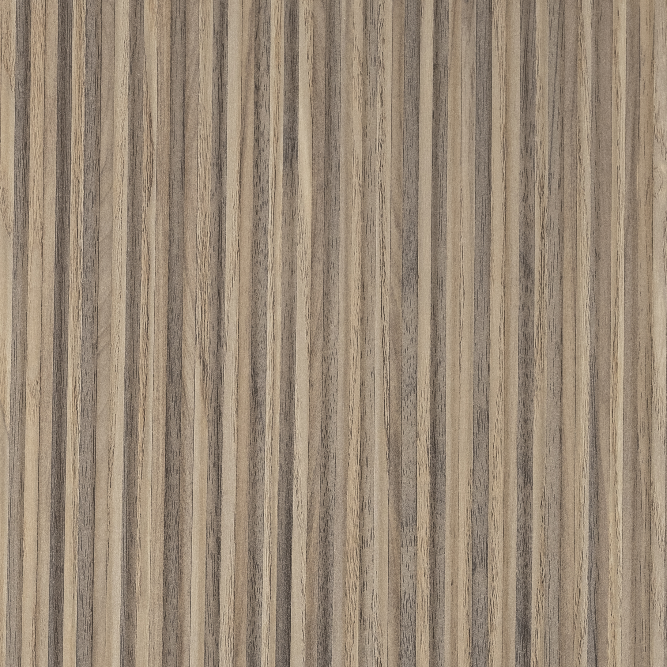 4644 Caravella Light