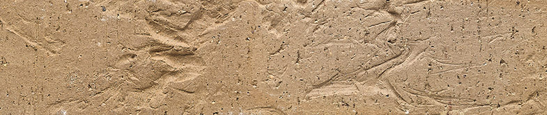 REMARQUABLE_TC-Merlot