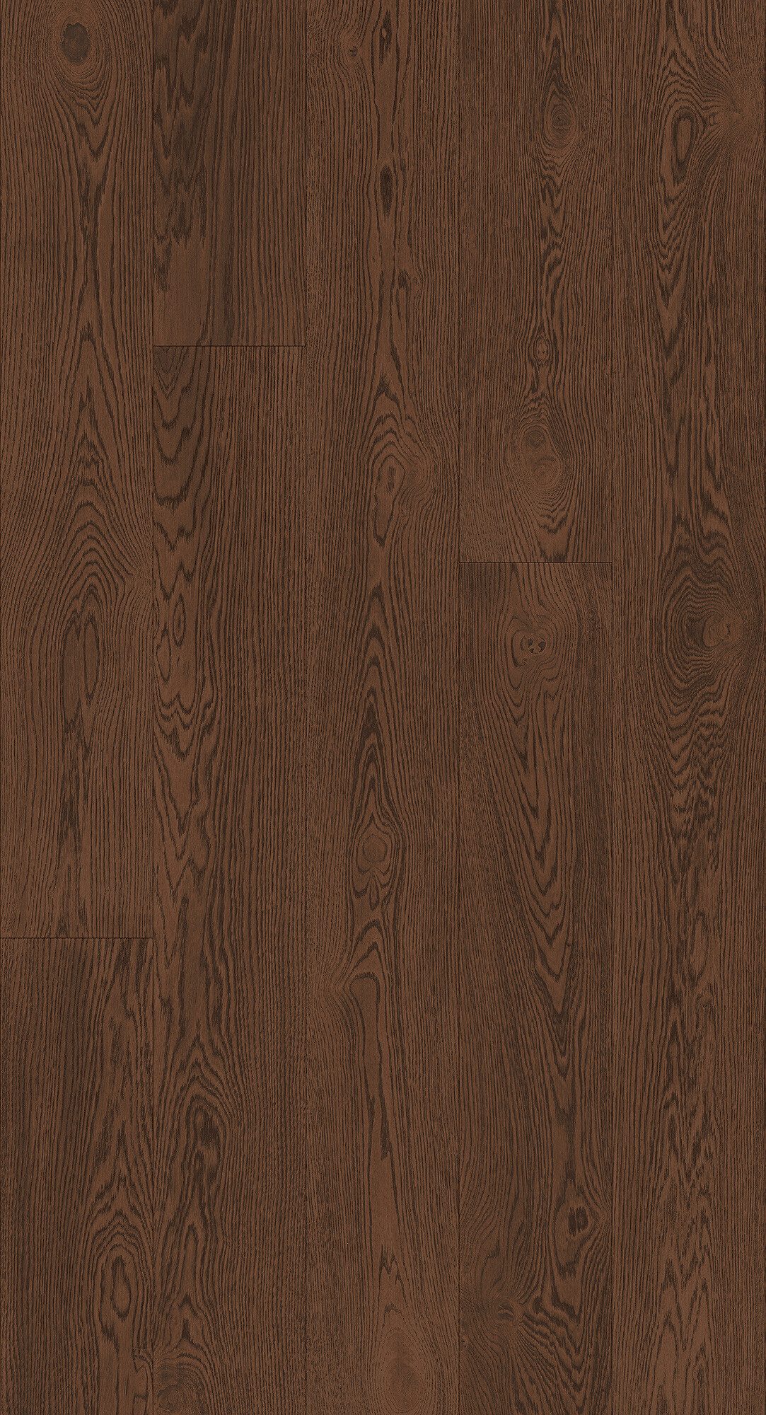 cabbani-cda-klimt-hr_1742814367